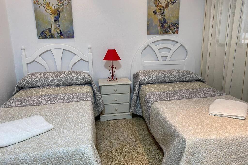 Mirador Playa Caleta Cadiz Centro Grupo Ac Gestion Apartment ภายนอก รูปภาพ